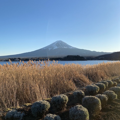 富士山