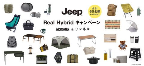 real_hybrid_cp_kv_01.jpg.img.1440 (1)