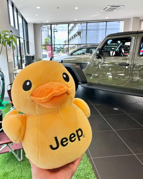 Duck