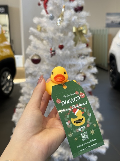 クリスマスダック②