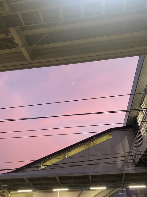 西府ピンクの空