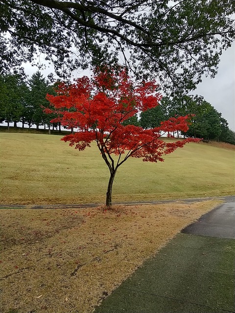 こだま神川9