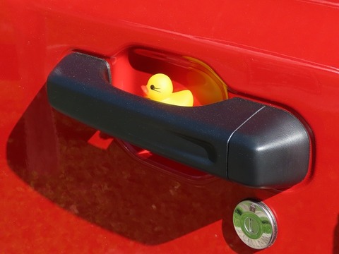 duck