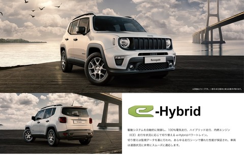 ehyblid.jpg.img.2880