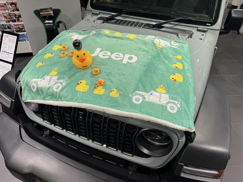 ブランケット画像