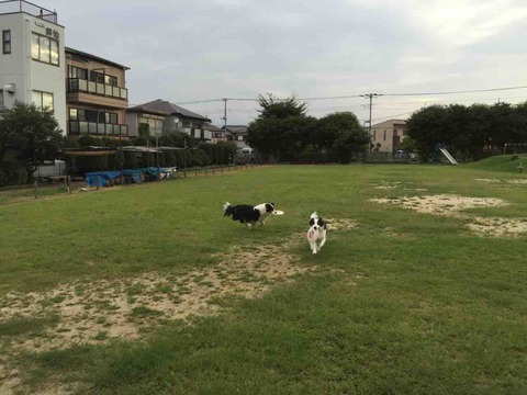 5EC36565-F0CD-41EA-9FCB-F748B295A361