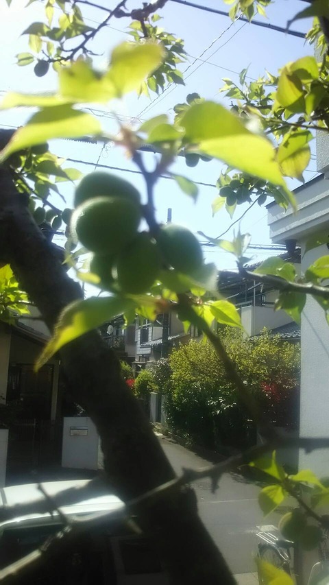 LINE_P20190728_081334049