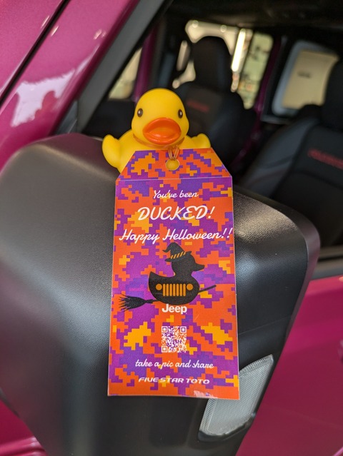 PXL_20241018_035927052