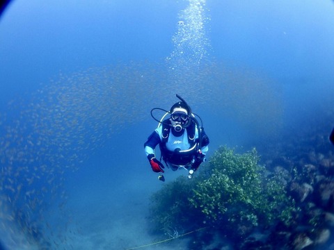 LINE_P20190728_081334028