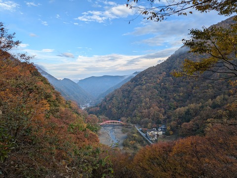 PXL_20241115_061446355