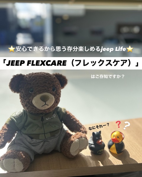 フレックスケア インスタ写真