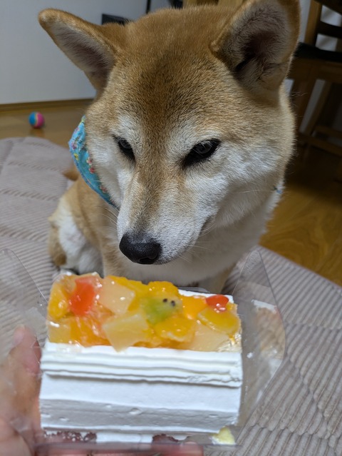 PXL_20240826_131614596