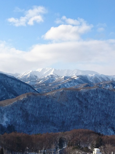 LINE_P20190106_114640753