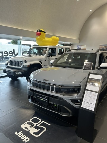 インスタ展示車