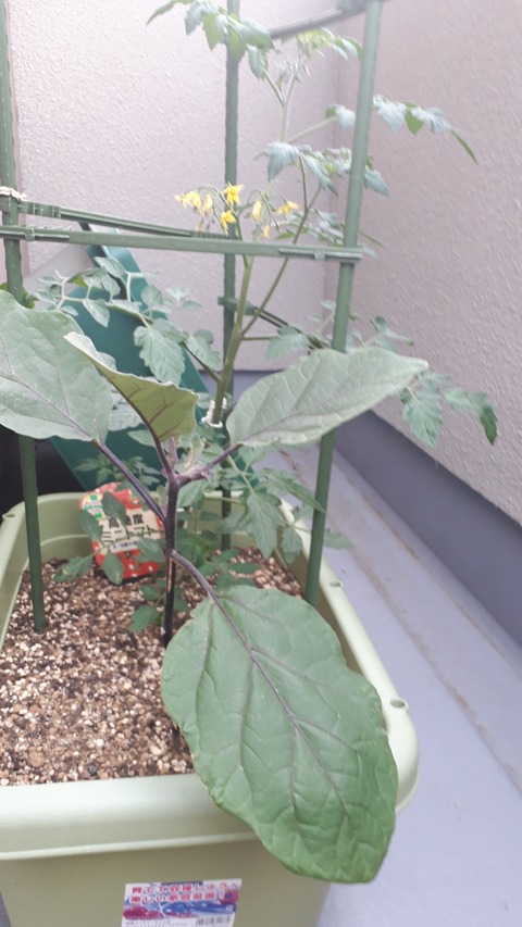 20190519_063833