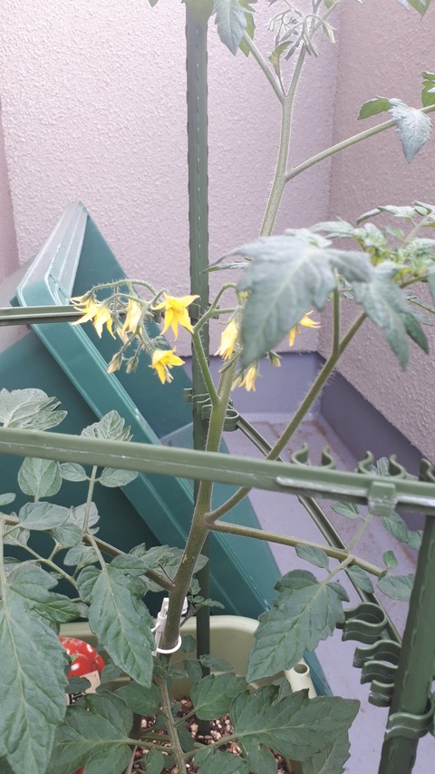 20190519_063846
