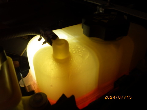RIMG1711