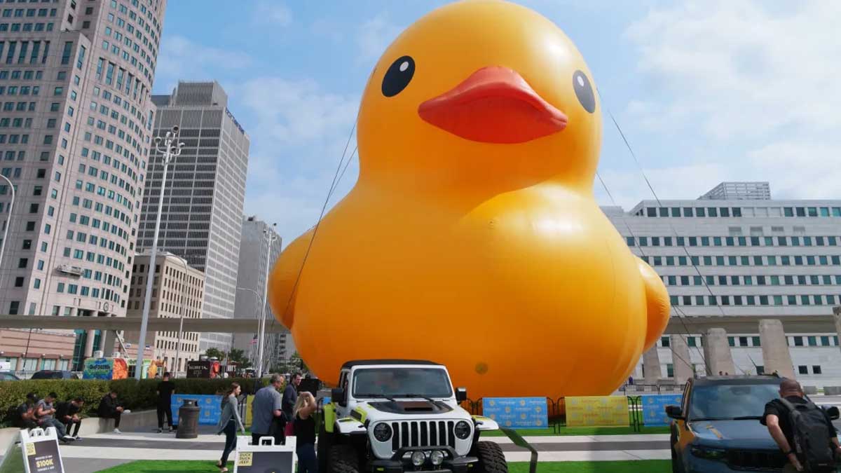 Duck-Duck-Jeep｜ジープ武蔵野スタッフブログ｜Jeep Official Dealer Site