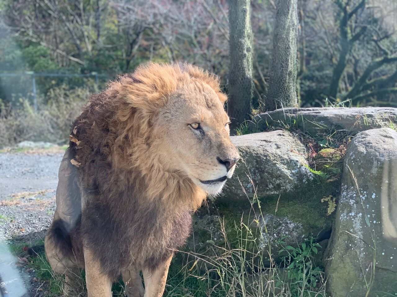美味しいお飲み物ご用意してます Jeep武蔵野 Don T Miss It