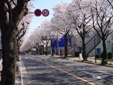 DSC03439