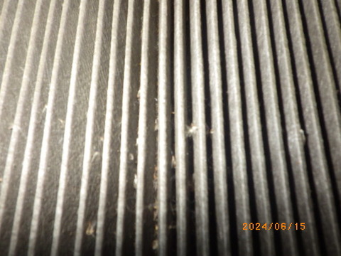 RIMG1191