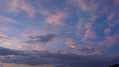 DSC_0754