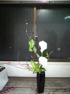 木瓜 カラー ドラセナゴッドセフィアナ 11 2 10 2月研究会 生け花 修行中 あるふぁ