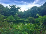 バラクラIMG_9897