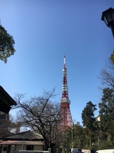 IMG_0502