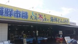 �����Ծ�