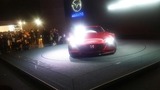 b IMG_0089