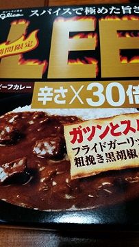 LEE30��