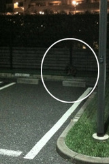 IMG_0645�Υ��ԡ�