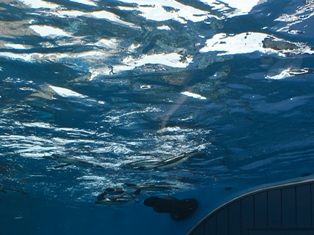 IMG_0695