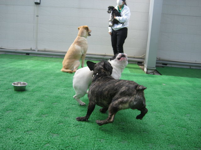 IMG_0231 (2)