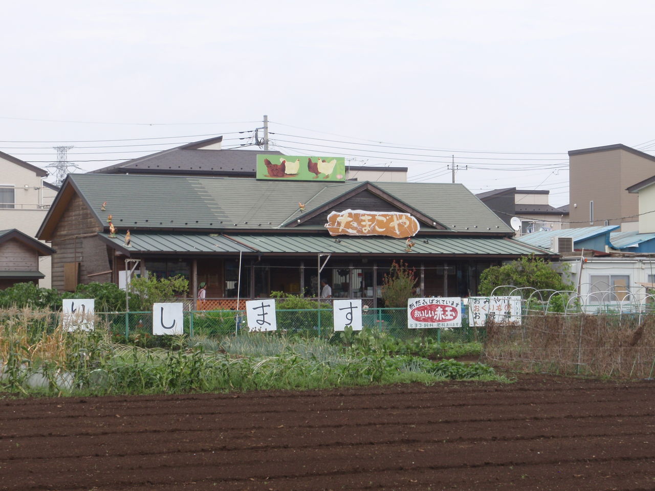 押木養鶏場 千葉某所 パープルの カレーなる日々 に乾杯 押木養鶏場 千葉某所 パープルの カレーなる日々 に乾杯