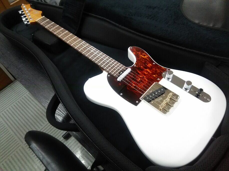 【中古】 オーダーInfinite : うつのみやミューズイン“BLOG” ギター