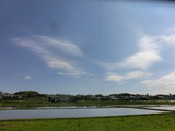 CIMG7246