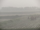 IMG_0136