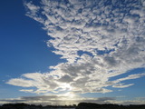 IMG_0006(1)