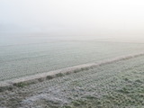 IMG_0081