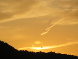 IMG_0024(1)