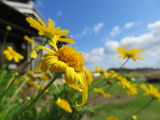 IMG_0009
