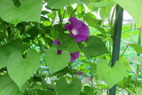 IMG_0110 (1)