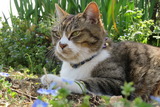 IMG_0054
