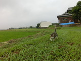 CIMG8155