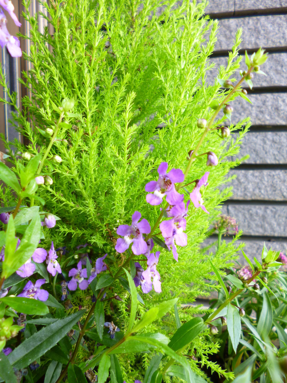 時代が求める ウォークイン ヒントが生まれるスピリチュアルno1ブログ