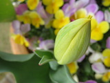 IMG_0093