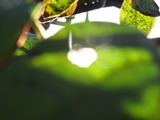 IMG_0210