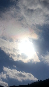 �쥤��ܡ�ζ�ȸ��μ�